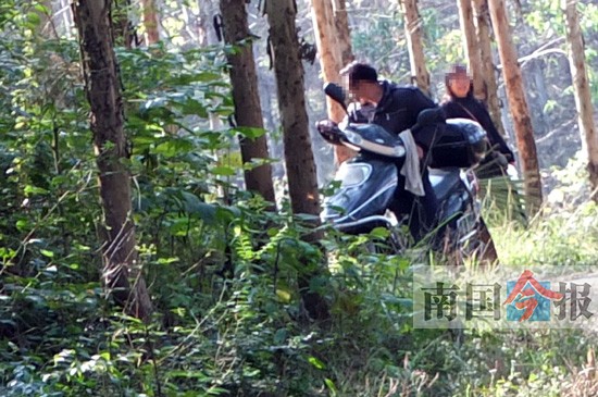 树林里,一名中年女子和一名骑电动车的中年男子搭讪.