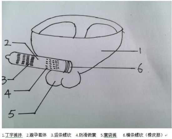 女大学生设计“丁字裤”避孕套引关注