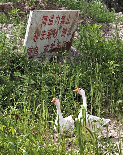 北京14岁男孩突沉河中溺亡 疑河沙挖采惹祸(图)