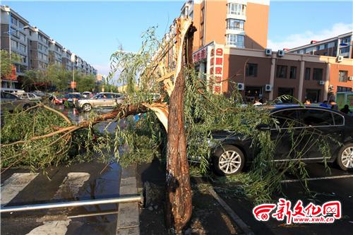 风雨雹突袭