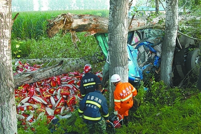 大挂车 撞树 司机身亡