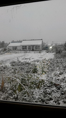 首场雪